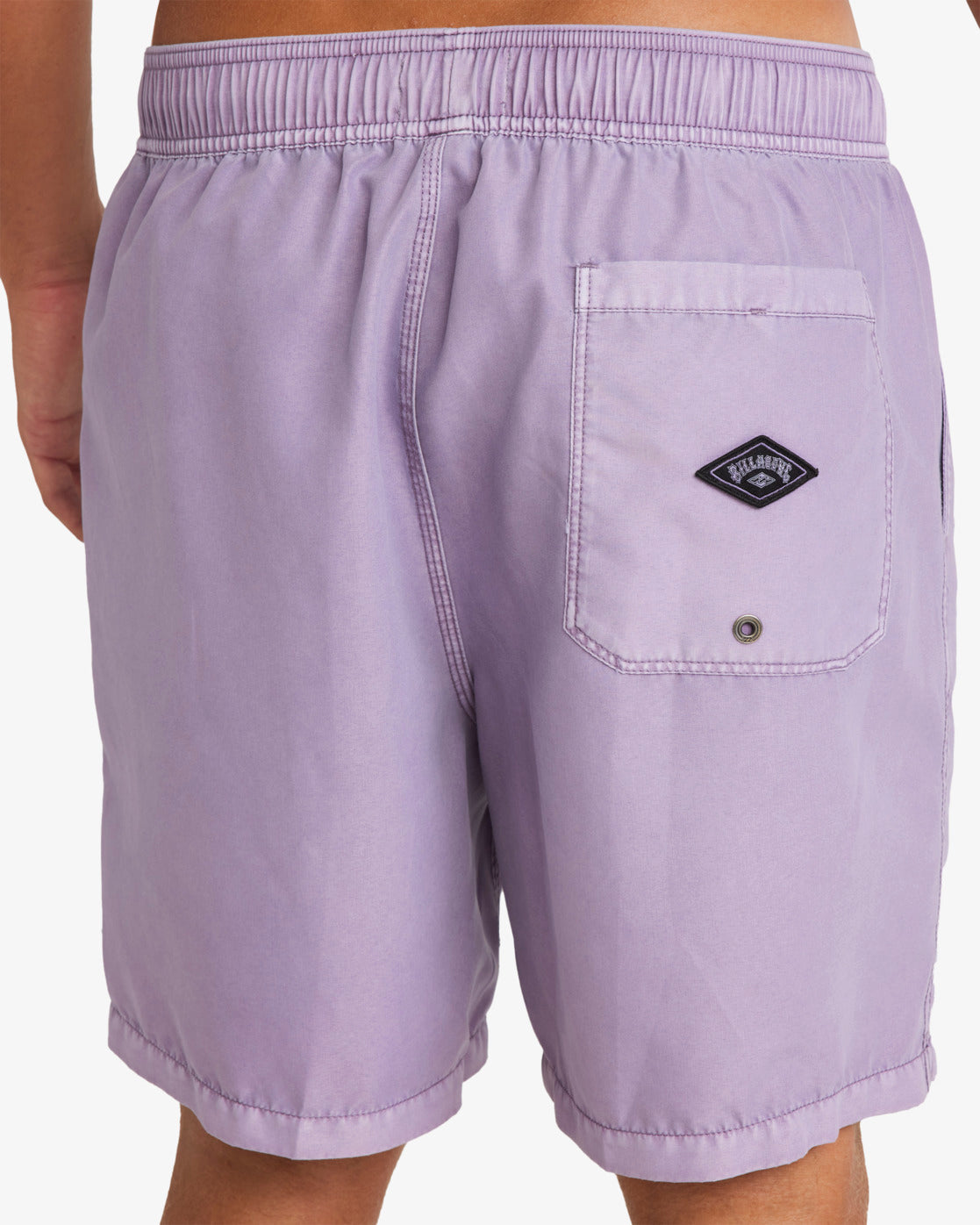 Mens All Day Overdye Layback Boardshorts