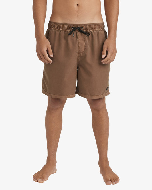 Mens All Day Overdye Layback 17" Boardshorts