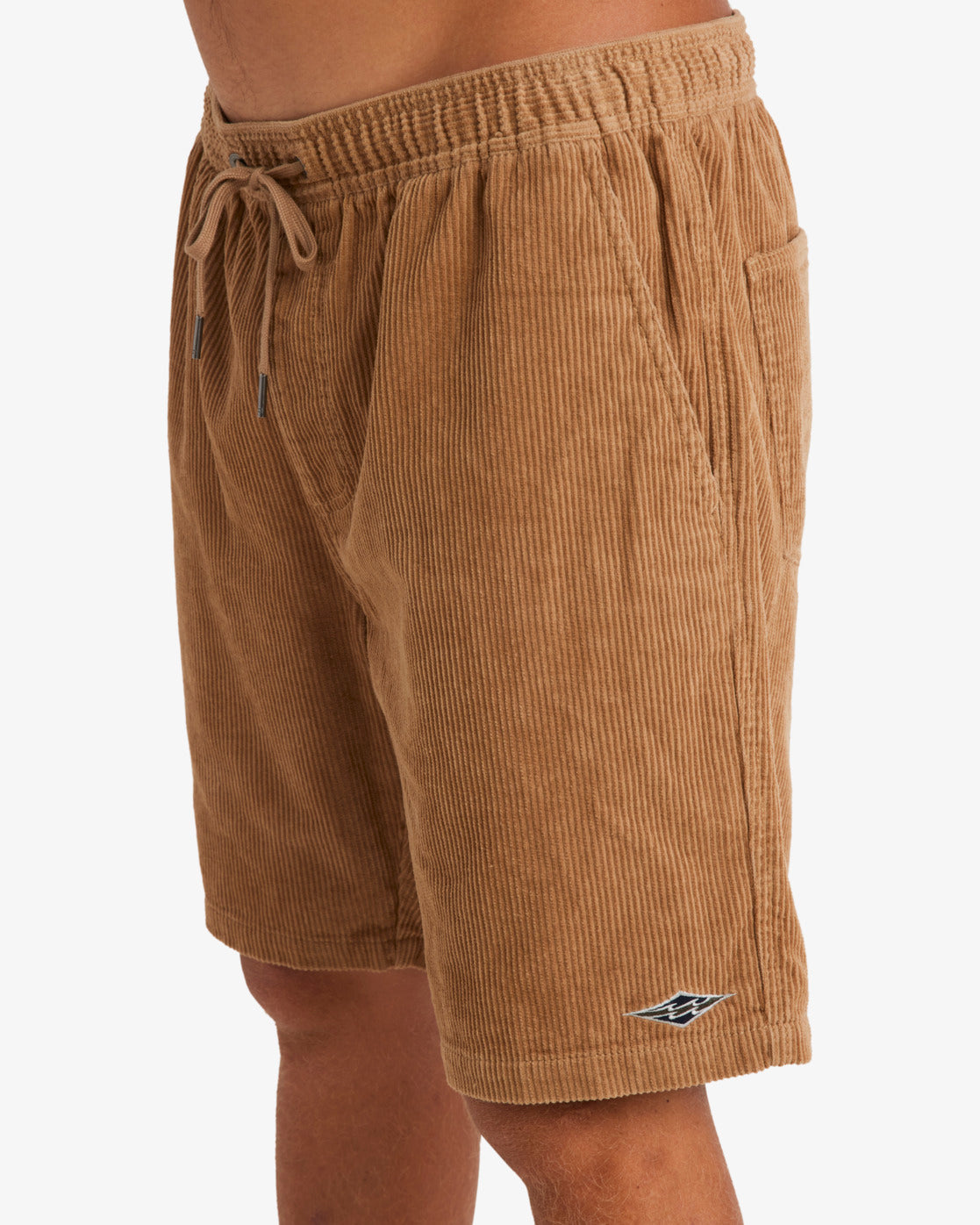 Mens Larry Cord Shorts