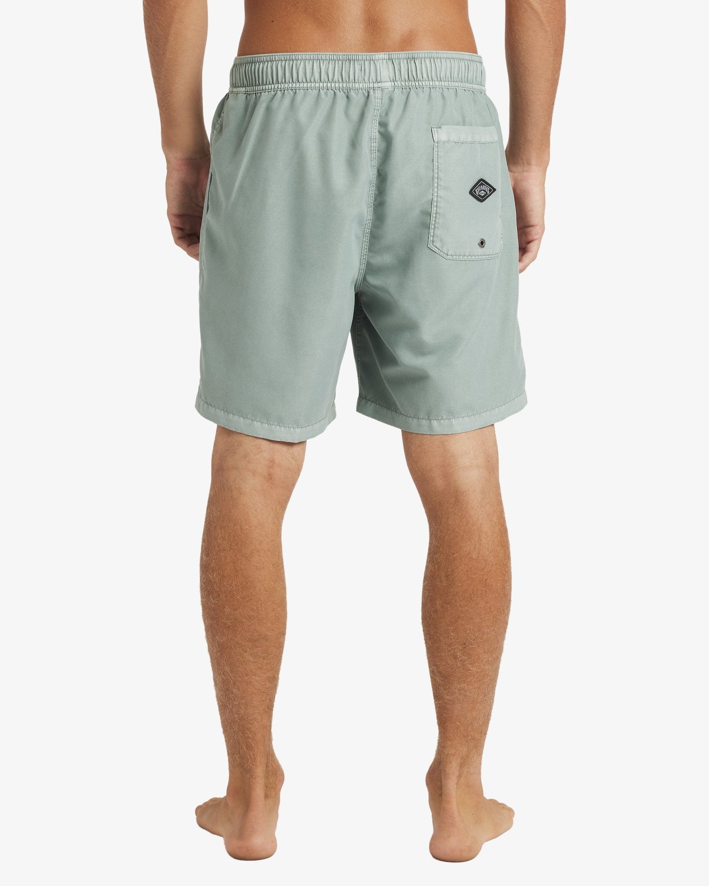 Mens All Day Overdye Layback 17" Boardshorts