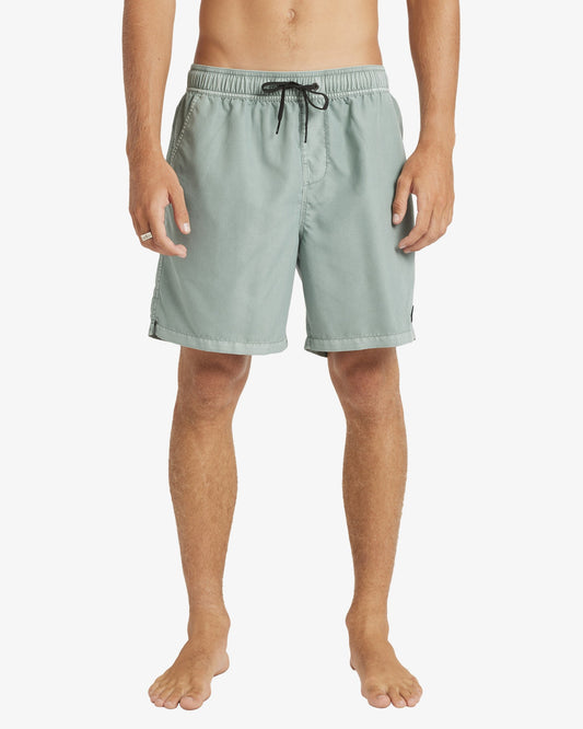 Mens All Day Overdye Layback 17" Boardshorts