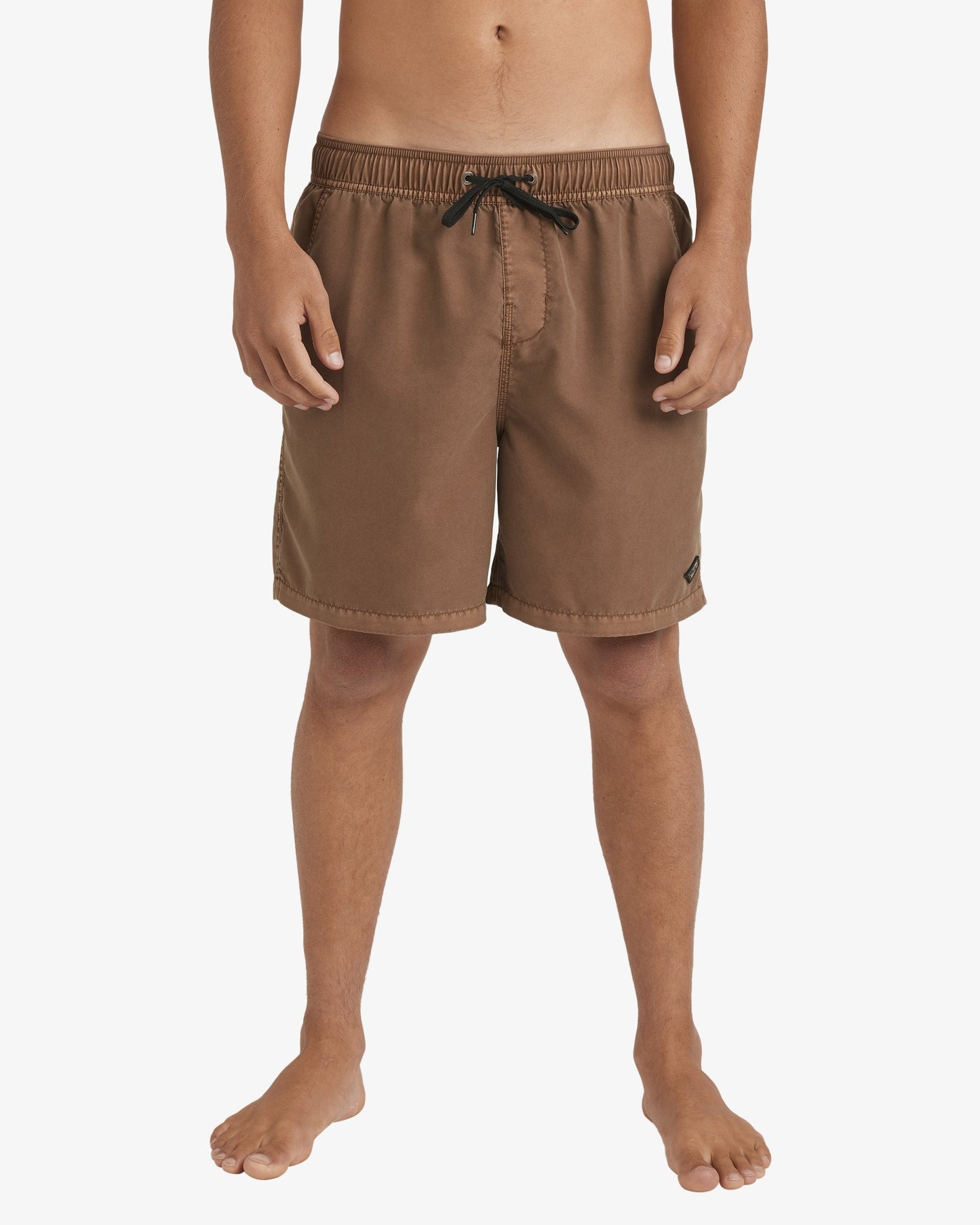 Mens All Day Overdye Layback 17" Boardshorts