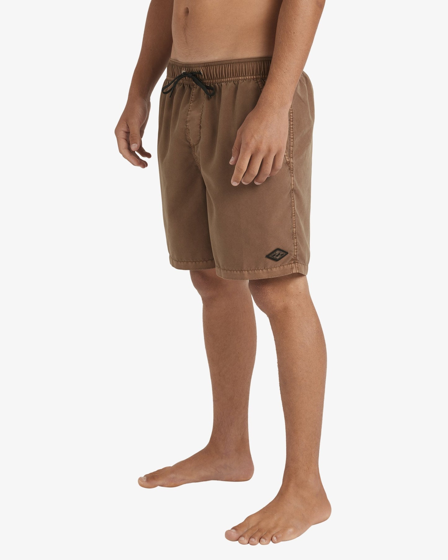 Mens All Day Overdye Layback 17" Boardshorts