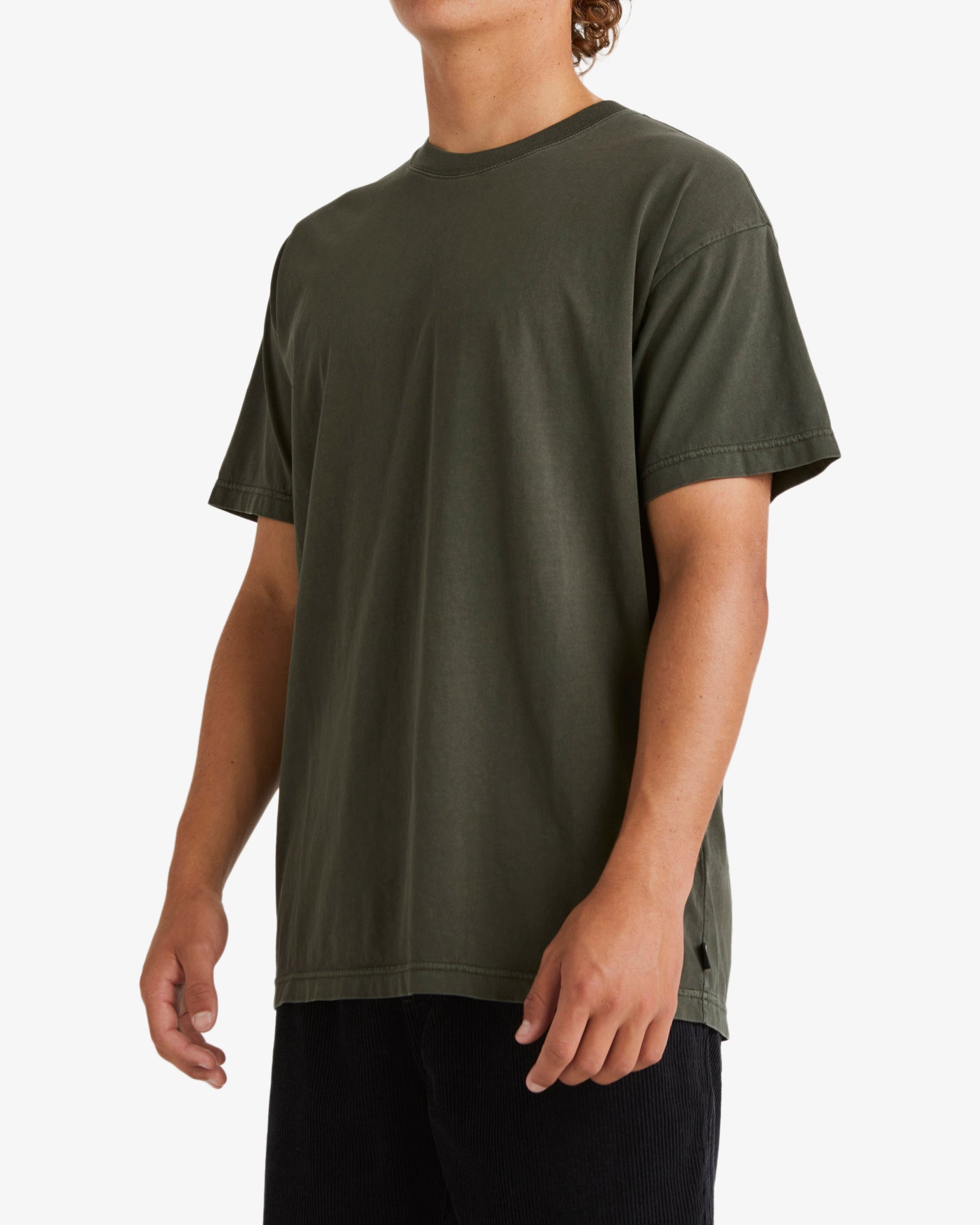 Mens Premium Wave Wash Short Sleeves T-shirt - Billabong Malaysia